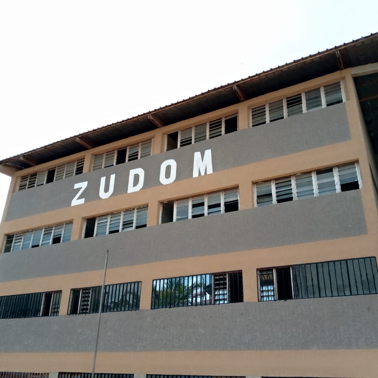 zudom (5)